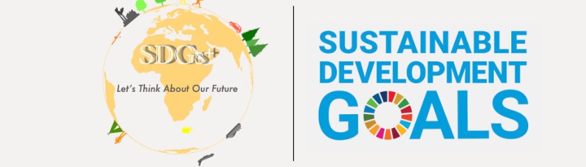 SDGs+